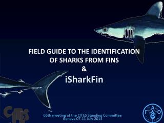 FIELD GUIDE TO THE IDENTIFICATION OF SHARKS FROM FINS &amp; iSharkFin