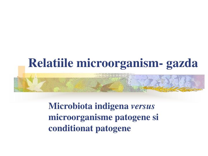 relatiile microorganism gazda