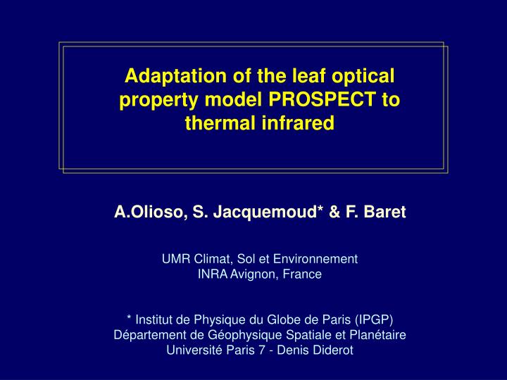 adaptation of the leaf optical property model prospect to thermal infrared