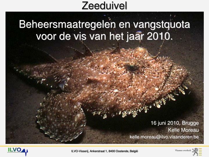zeeduivel beheersmaatregelen en vangstquota voor de vis van het jaar 2010