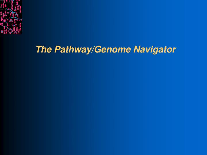 the pathway genome navigator
