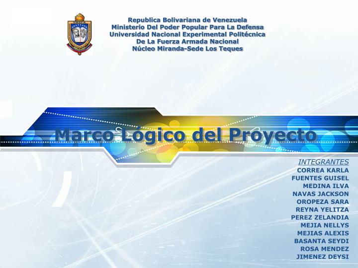 marco l gico del proyecto