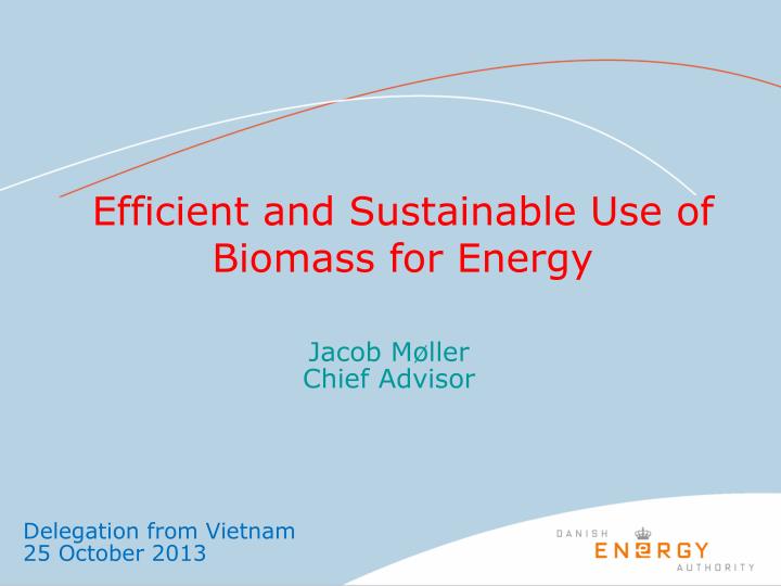 efficient and sustainable use of biomass for energy