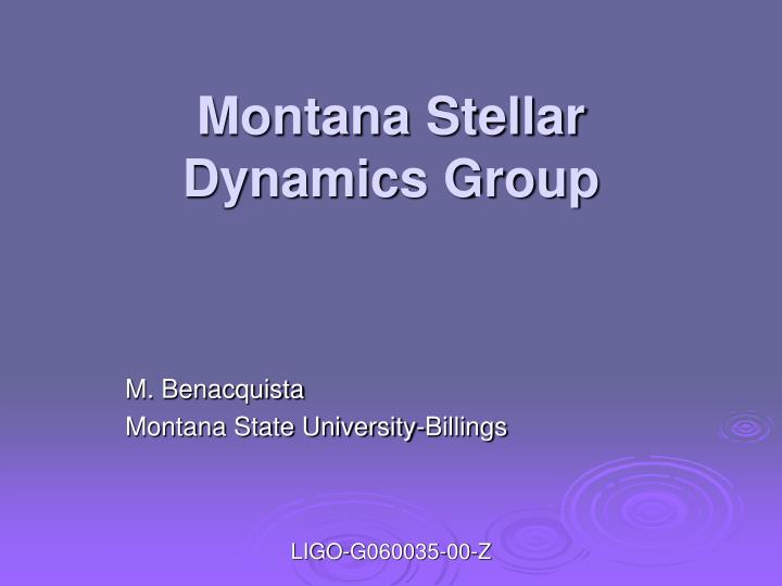 montana stellar dynamics group