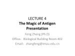 LECTURE 4 The Magic of Antigen Presentation