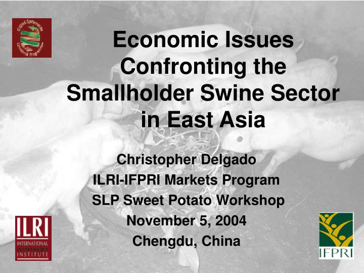 economic issues confronting the smallholder swine sector in east asia