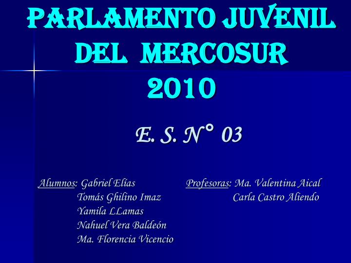 parlamento juvenil del mercosur 2010
