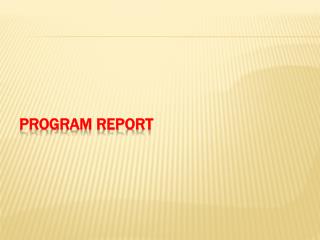 Program Report