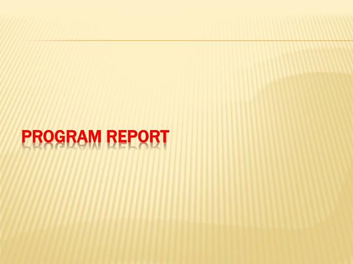 program report