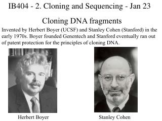 Cloning DNA fragments