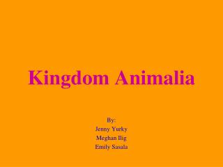 PPT - Kingdom Animalia PowerPoint Presentation, Free Download - ID:436441