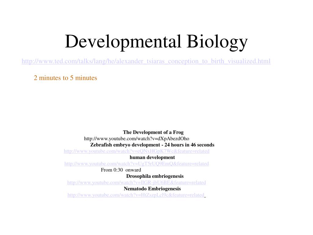 PPT - Developmental Biology PowerPoint Presentation, free download - ID ...