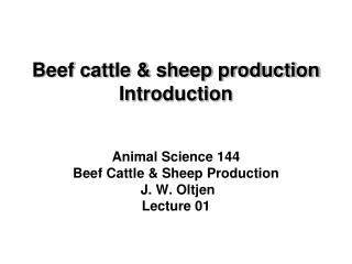 Beef cattle &amp; sheep production Introduction