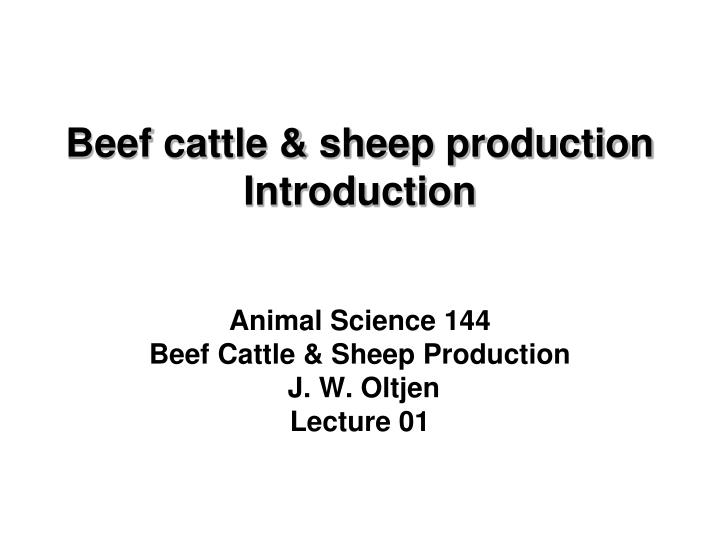 beef cattle sheep production introduction