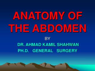 ANATOMY OF THE ABDOMEN