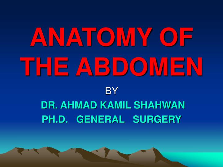 anatomy of the abdomen