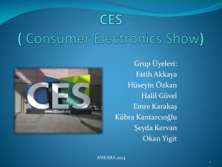 ces consumer electronics show