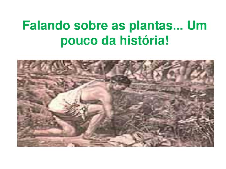 falando sobre as plantas um pouco da hist ria