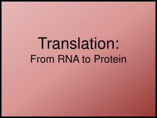 Translation: From RNA to Protein