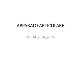 apparato articolare
