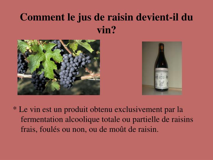 comment le jus de raisin devient il du vin