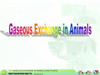 Gaseous Exchange in Animals