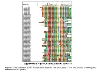 Supplementary Figure 1, Postnikova et al. Mol Gen Genom