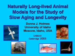 Naturally Long-lived Animal Models for the Study of Slow Aging and Longevity Donna J. Holmes