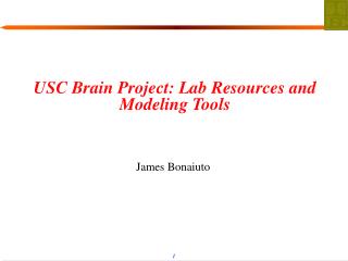 USC Brain Project: Lab Resources and Modeling Tools