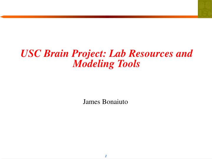 usc brain project lab resources and modeling tools