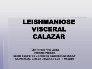 leishmaniose visceral calazar