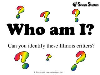 Who am I?