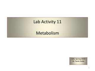 lab activity 11 metabolism