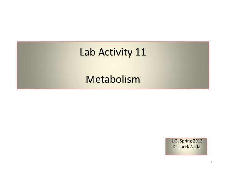 lab activity 11 metabolism