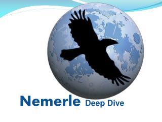 nemerle deep dive