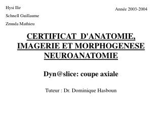 certificat d anatomie imagerie et morphogenese neuroanatomie