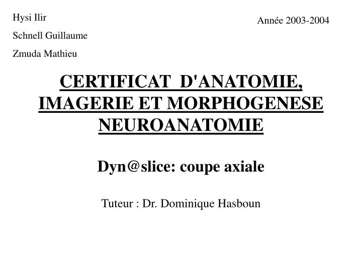 certificat d anatomie imagerie et morphogenese neuroanatomie