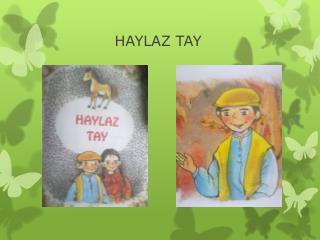 haylaz tay