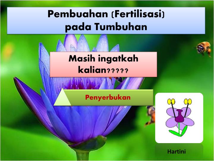 pembuahan fertilisasi pada tumbuhan