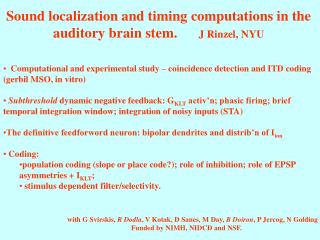 Sound localization and timing computations in the auditory brain stem. J Rinzel, NYU