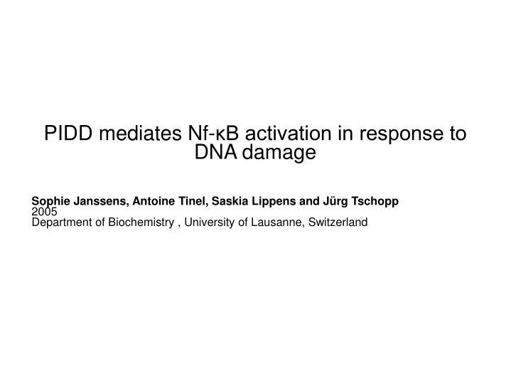 pidd mediates nf b activation in response to dna damage