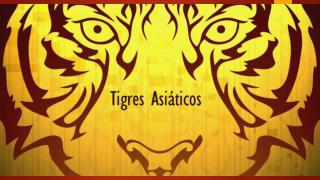 os tigres asi ticos