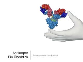 antik rper ein berblick
