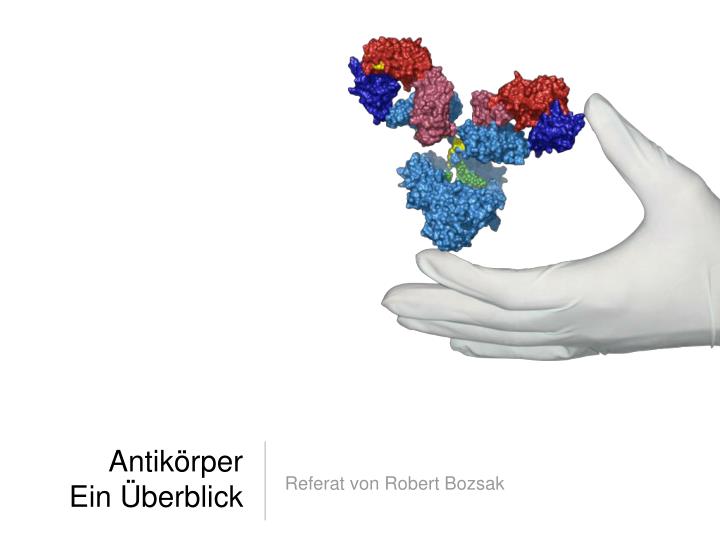 antik rper ein berblick