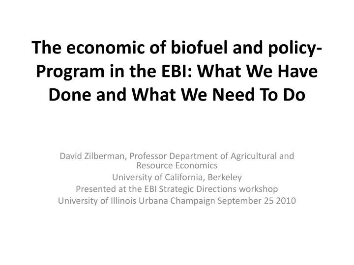the economic of biofuel and policy program in the ebi what we have done and what we need to do