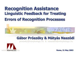 recognition assistance linguistic feedback for treating errors of recognition processes