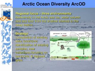 Arctic Ocean Diversity ArcOD