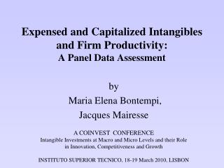 Expensed and Capitalized Intangibles and Firm Productivity: A Panel Data Assessment