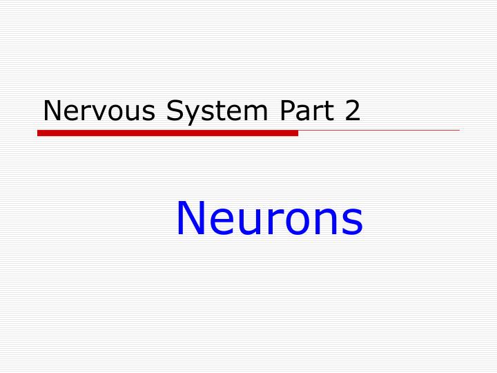 nervous system part 2