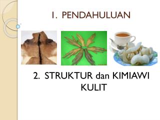 1 pendahuluan